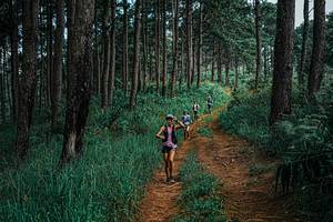 BIB: 
                            <button type="button" onclick="openModal(25659908)" class="btn btn-primary btn-sm float-right btn-popup" data-toggle="modal" data-target=".modal-high-quality">
                        <i class="fas fa-shopping-cart"></i> Add to Cart
                    </button>
                                            <button type="button" onclick="isThisMe(25659908, true)" class="btn btn-success btn-sm float-right btn-popup btn-isme hidden" data-toggle="tooltip" data-placement="bottom" title="นี่คือรูปของคุณใช่ไหม คลิกที่นี่เพื่อเอาเข้าอัลบั้ม">
                        <i class="fas fa-plus"></i> Add to album
                    </button>
                    <button type="button" onclick="isThisMe(25659908, false)" class="btn btn-warning btn-sm float-right btn-popup btn-isnotme hidden">
                        <i class="fas fa-ban"></i> Remove from album
                    </button>